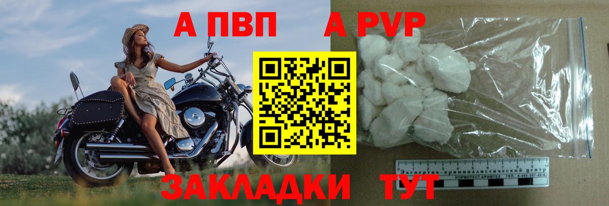 Губкинский  Alpha PVP  Вход с VPN  Alpha PVP СК  A-PVP крисы CK  сколько стоит  Alpha PVP крисы CK 