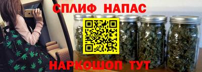 PSILOCYBIN Малгобек
