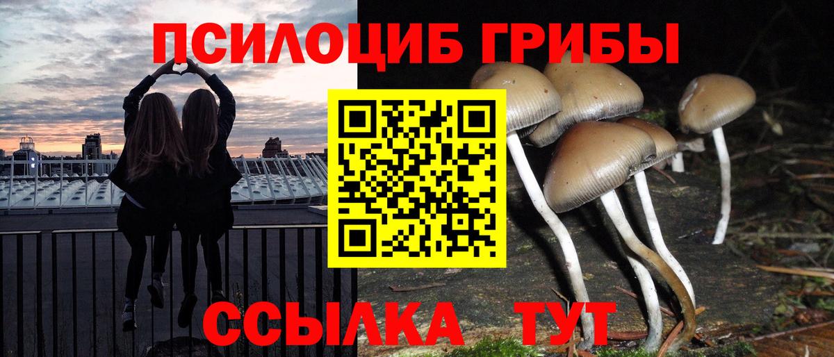 где купить   Вход с VPN  Губкинский  Галлюциногенные грибы Psilocybine cubensis  Псилоцибиновые грибы MAGIC MUSHROOMS 