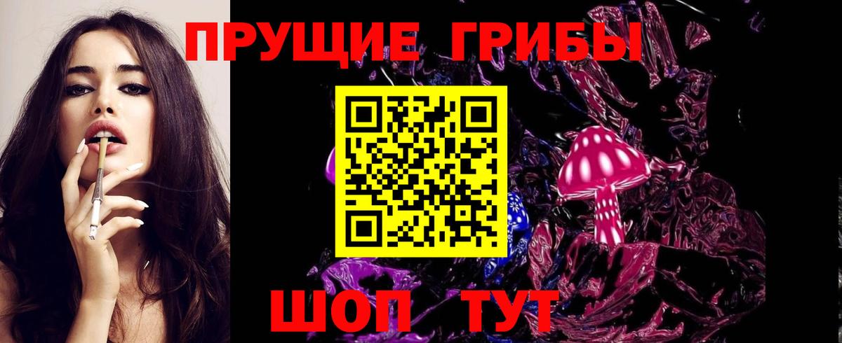 Галлюциногенные грибы Psilocybine cubensis Губкинский